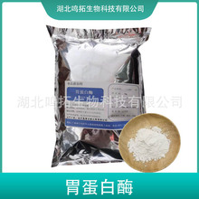 胃蛋白酶 食品用酶制剂 原料 工业用中性胃蛋白酶