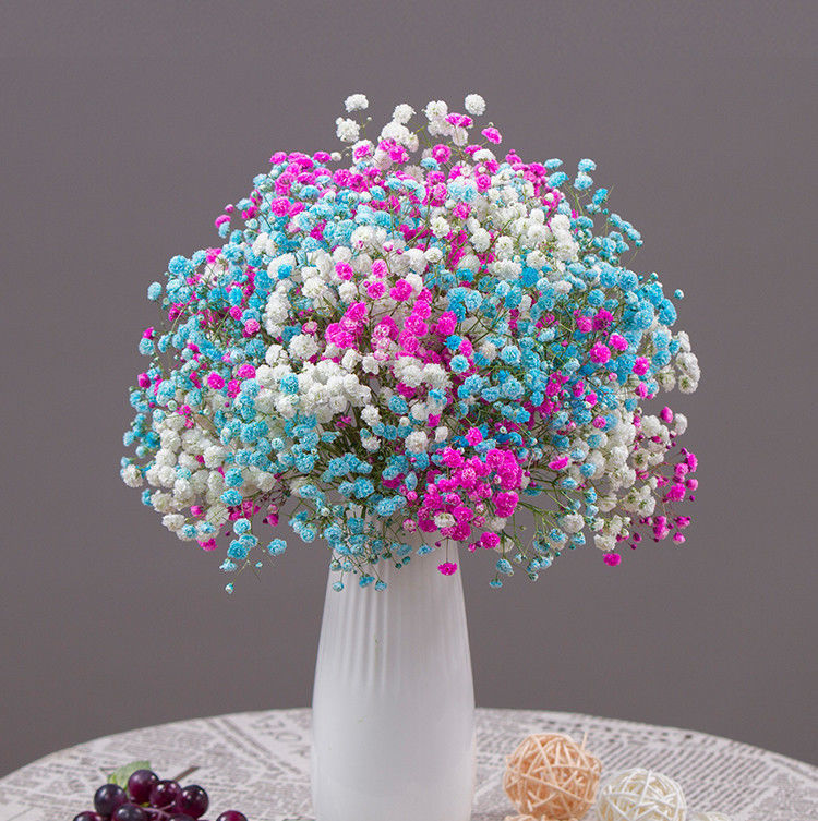 fd0255a6-f923-4a0a-bb6f-6f97125bb5e0.jpe