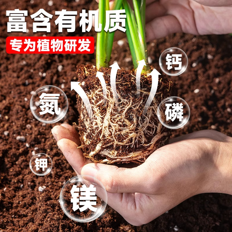 花の育成用の栄養土、野菜や花の育成用の万能花土、家庭用多肉植物の植え付け用の有機泥炭土|undefined