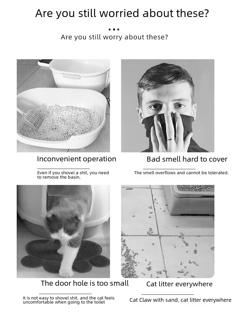Cat Litter Box 2