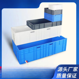 Large Turtle Box Turtle Tank Plastic Fish Tank Open Drainage Special Large Aquatic Fish Farming Weekly Cooling Pressure