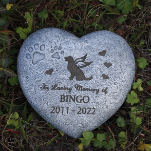 �羳����С��Ĺ�� �ɿ̈D�����֌���Ĺ���o��[�� ����ͥԺ��ˇƷ