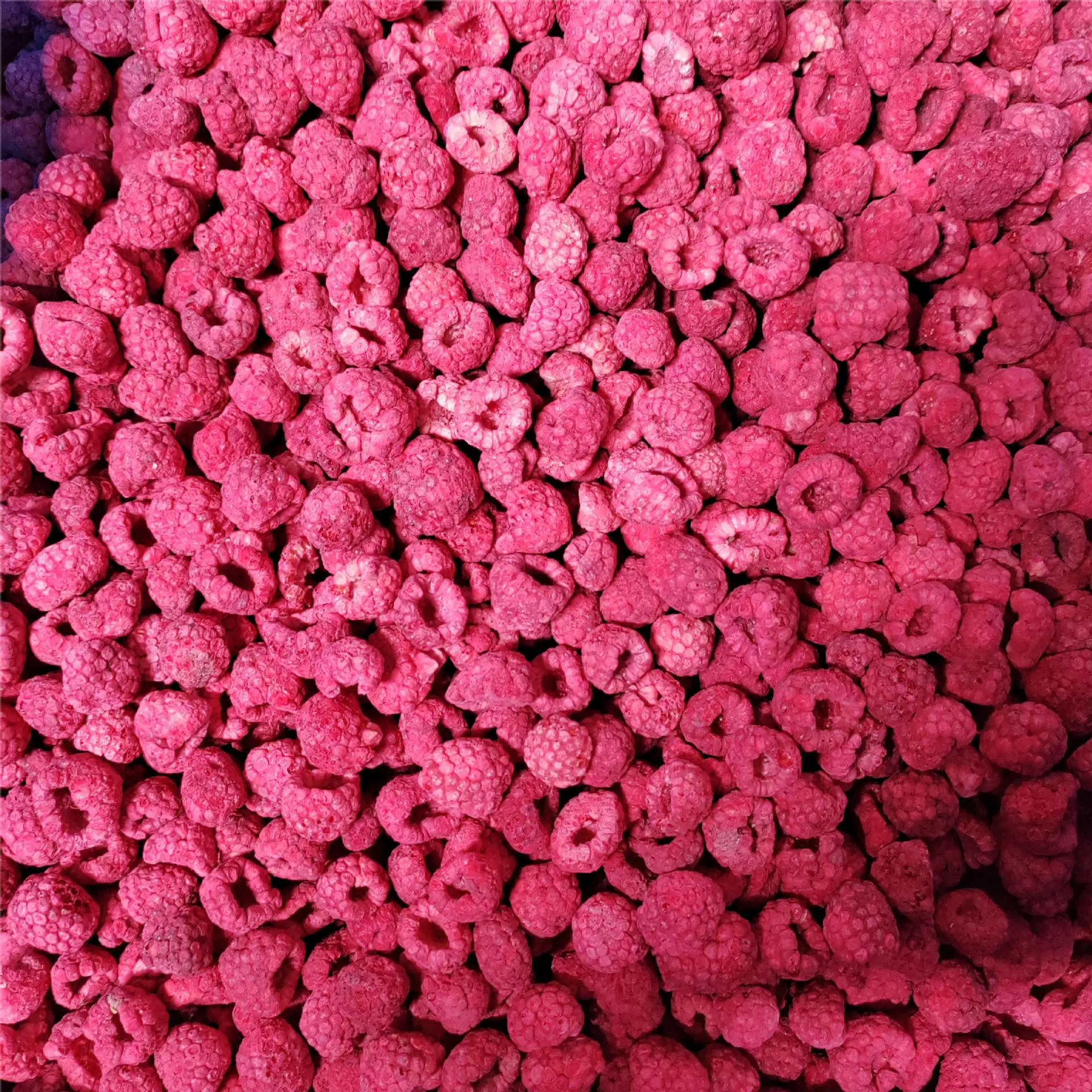 Freeze-dried Strawberry Pack, 20 g, Fruit Snack Cubes — Single Pack Options