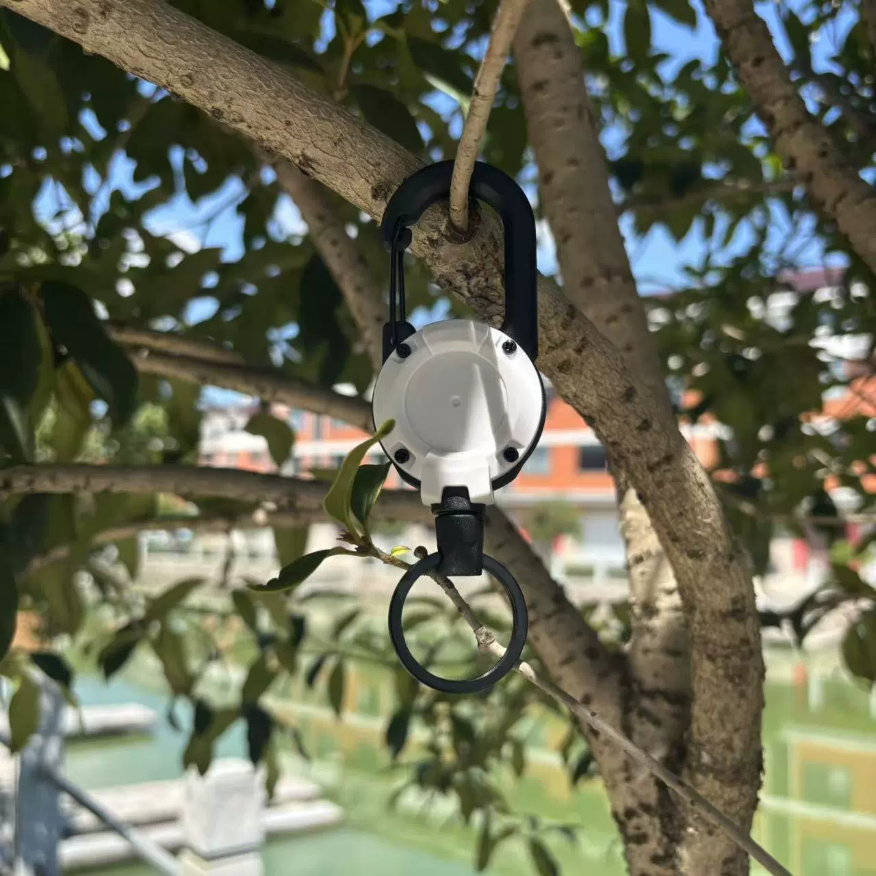  Adjustable travel steel wire for camping, keychain
