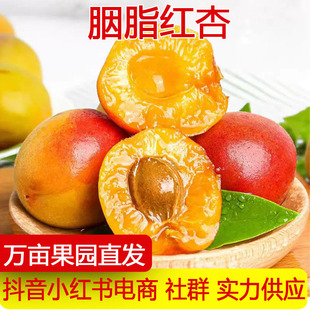 �a��ֱ�l��֬С�t�����r�����^�������ЋDˮ���F����t��һ�����l