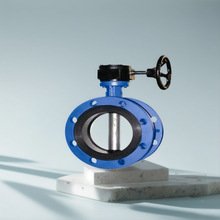 �Ϻ��ƿ������P���Aͨ�y�T���yܛ�ܷⷨ�m���yD341XDN100DN150