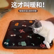 ����늟�̺С�����C؈���ˮ��ץ��©�؈��С�͐a�ؼӟ�|