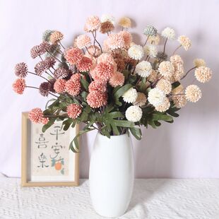 �羳���N����5�^ƹ����� �ѹ�Ӣ�r�ռٻ���Y�Ҿ��b[�����滨