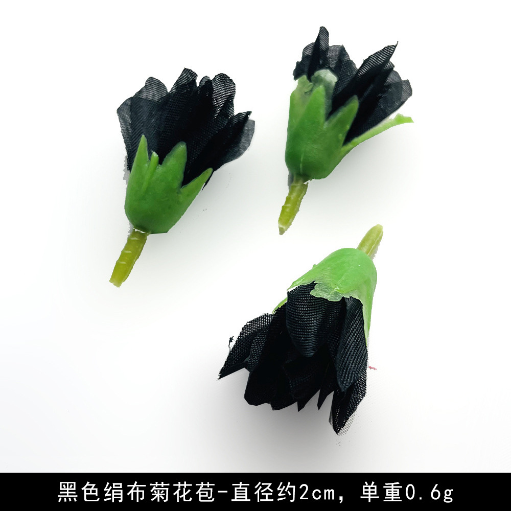 작은 국화 새싹