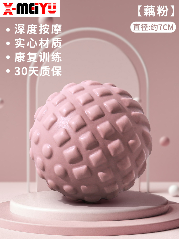 연꽃 뿌리 전분 7cm