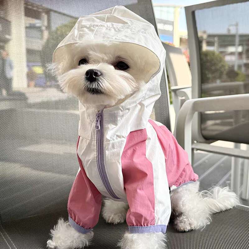 Spring and Summer Thin Pet Dog Waterproof Sun Protection Clothing for Both Rain and Shine Teddy Bichon Schnauzer Outdoor Two-Legged Hoodie Spring and Summer Thin Pet Dog Waterproof Sun Protection Clothing for Both Rain and Shine Teddy Bichon Schnauzer Outdoor Two-Legged Hoodie