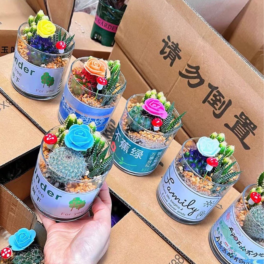 Cactus combinación de vidrio cerámico base de guangzhou venta directa factura boleto especial soporte de cotización de tres partes fábrica directa