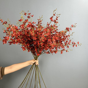 ��������m�f���m�ҾӲ廨�zӰ�Y���������滨���߿͏d�����[���m