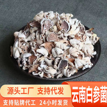 源头一件代发云南德宏白参菌干货新货 农家特产食用菌菌煲汤炒菜
