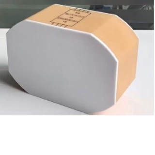 双能骨密度仪腰椎模体