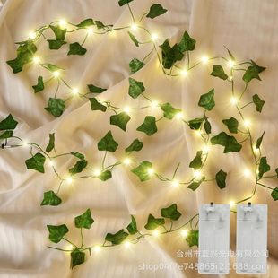 �羳���NLED�G�~�~�������}�Q�҃ȷ��g�bGֲ�Ɍ��Շ��ʟ��l��