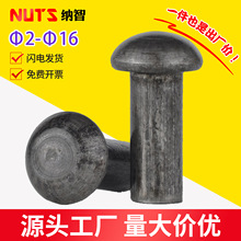 ����Բͷʵ��í����ɫԲͷ�û�í��GB867 M3M4M5M6M8M10M12M14M16