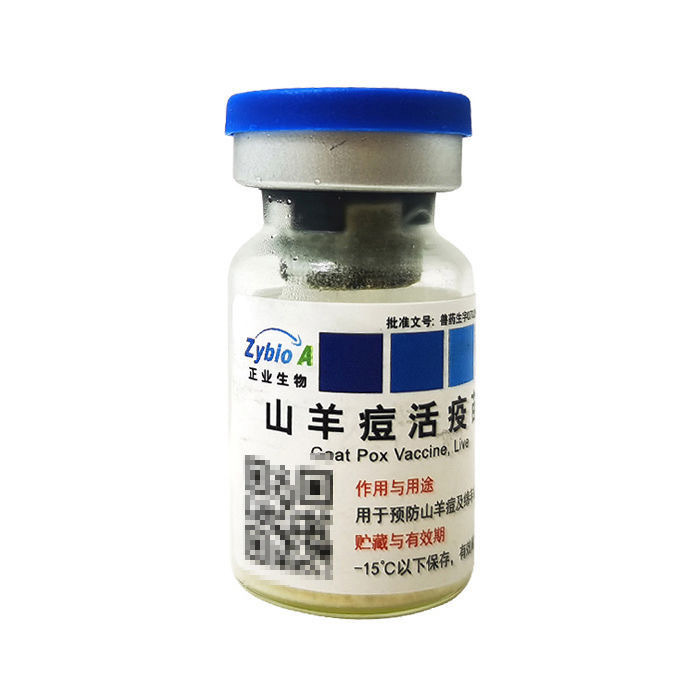 微信图片_20250217140324