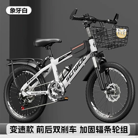 山地自行车;折叠自行车