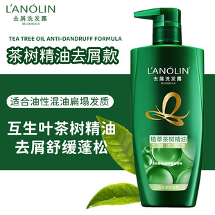 ������ȥм�����坍����o����Ůʿϴ�l¶500ml���l���l�Ȱ��~