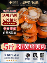 带黄扇贝肉新鲜冷冻无沙带膏红贝蒜蓉粉丝扇贝烧烤食材商用