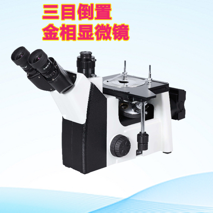 齿轮轴/T8/T10/T12钢4XC金相显微镜 金属内部样貌结构分析观察