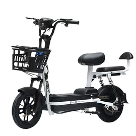电动自行车;电动摩托车;其他电动车