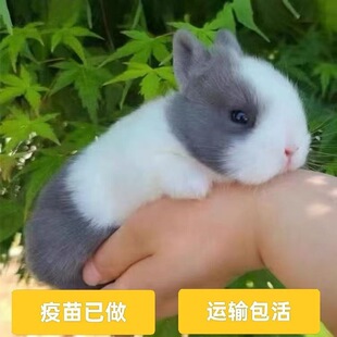 ������٪�����������ù���С��С���m�����ü��B����С����С����