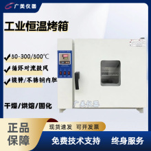 高温干燥箱300/500度 电热鼓风干燥箱 实验室工业烘箱 老化箱