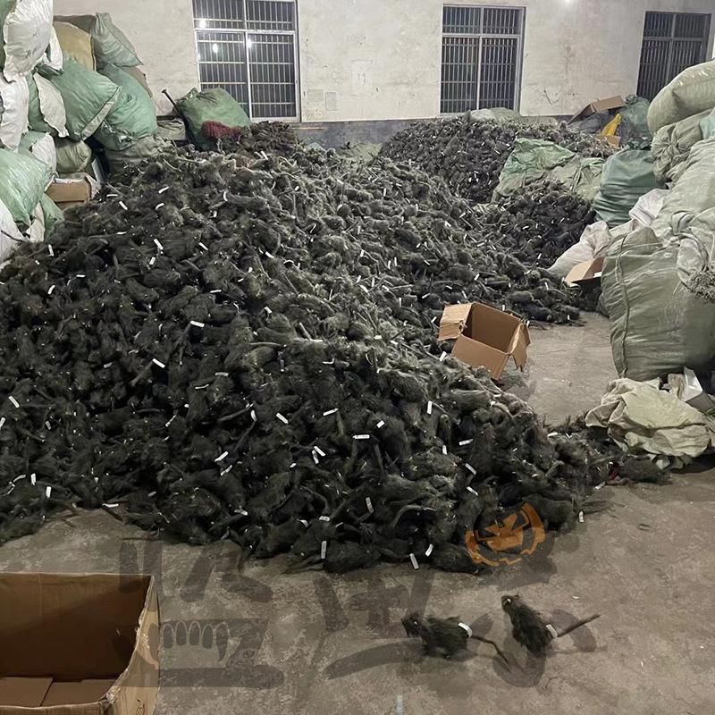 a5e09ce7ee45435bf9aa553b3f8dac