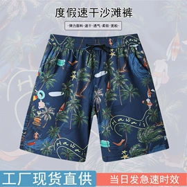 泳裤;连体泳衣;男式沙滩裤