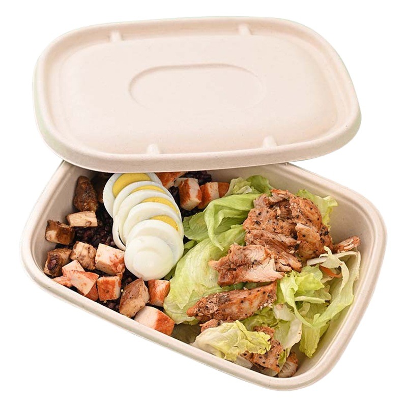 Caja de almuerzo degradable pulpa caja de comida rápida fitness caja de almuerzo comida ligera ensalada para llevar caja de embalaje caja de almuerzo desechable