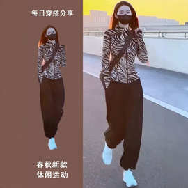 欧货时尚高级感气质斑马条纹拉链开衫套装女春秋运动休闲裤两件套