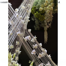 �ʺ羀�b�û�c���⹝���b��̈���ͥ�Շ�����ˇ�g�^�b���b��