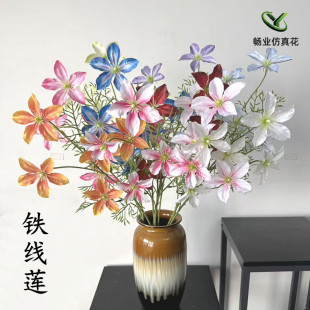 �����F��ɏ��Y�Y�û�c���lɏ�����������쾰�ٻ����÷���廨