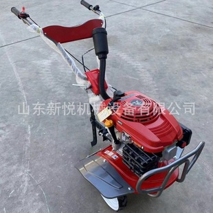 ����25����С���΢���C ˮ�����������C 225�r�ô���C