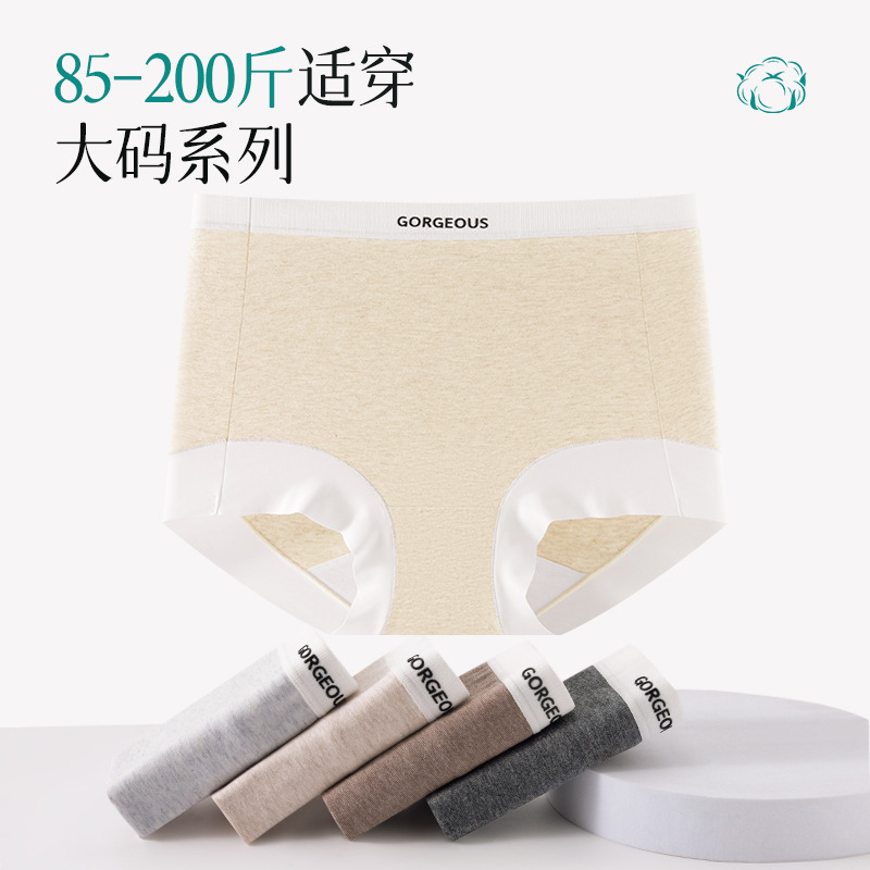 Color algodón pequeño bóxer 2024 nuevo estilo sin costuras algodón entrepierna antibacteriana entrepierna larga talla grande 200 kg pequeño bóxer