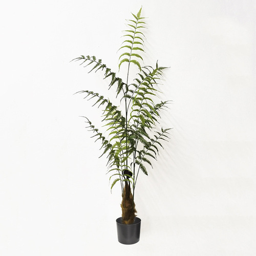 Simulated Monkey Head Fern Golden Hair Dog Fern Persian False Cypress Indoor Floor Plant Luxury Accent Piece Window Fake Plant Pot