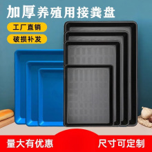 �����бP�L���μ��ñP�Ӻ��s��̖����P�ش�ߴ��ˮ�P���\�P픶�