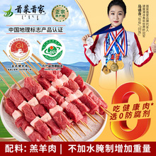 首菜首家羊肉串 烧烤食材牛肉羊肉新鲜烧烤半成品食材内蒙羊肉串