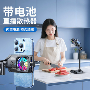 Rechargeable Mobile Phone Radiator Without Plug-In Cooling Artifact Refrigeration Live Broadcast E-Sports Game Special Back Clip Wholesale