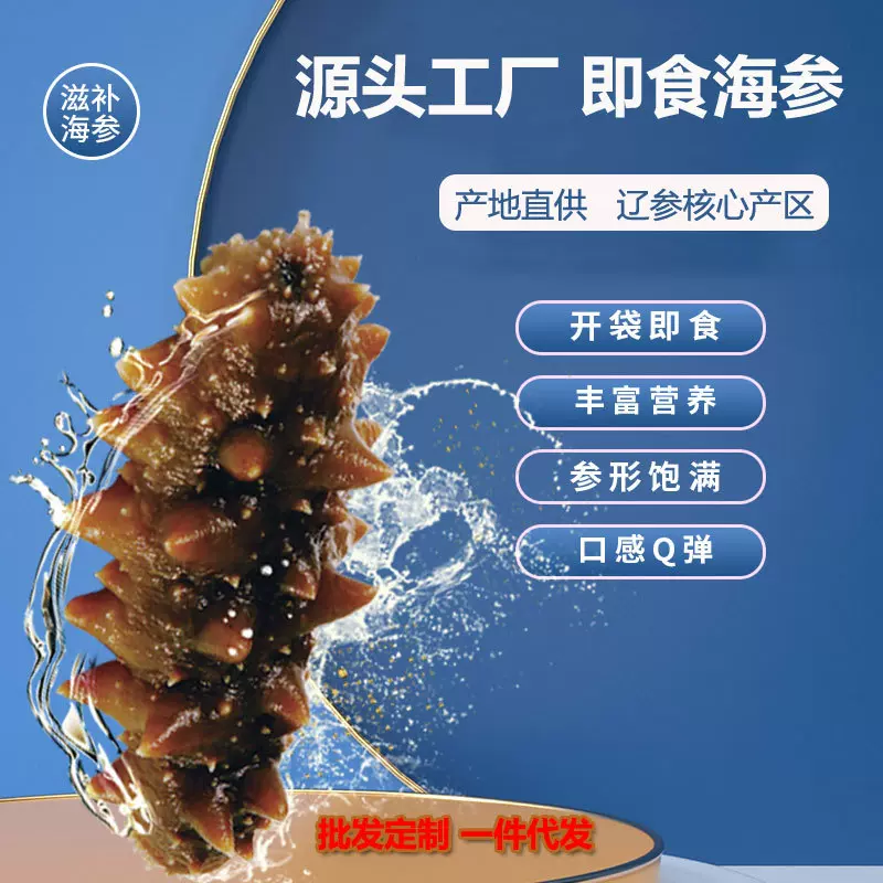 工厂直供大连海参辽参非海参干货500g刺参 大连即食海参批发