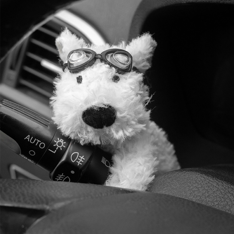 West Highland Eyes-Huaibei Decoration