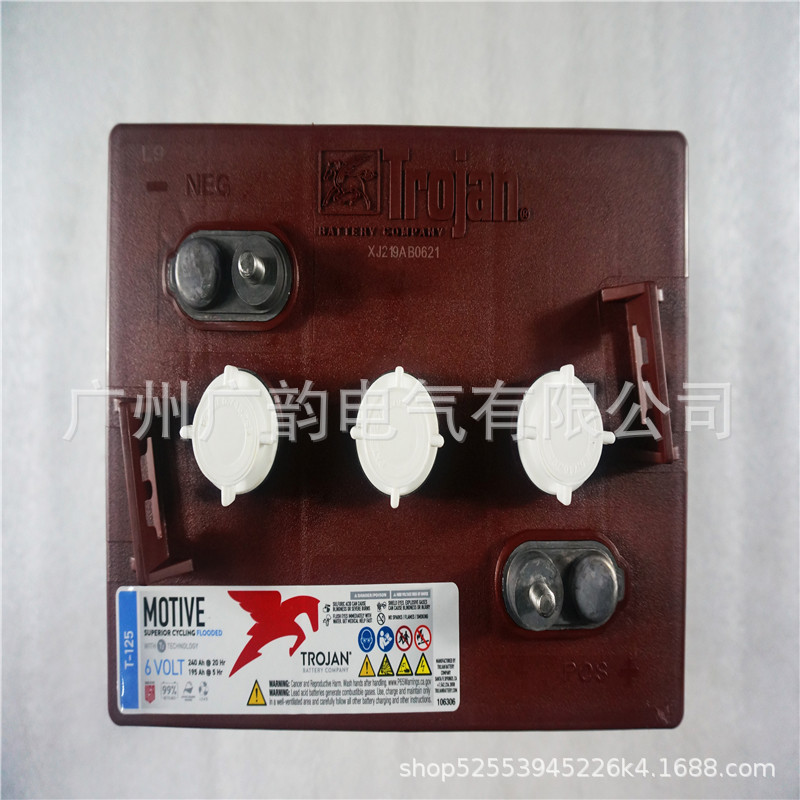 美国邱健蓄电池T-125 进口邱健6V240AH蓄电池电动车 原厂质保
