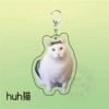 Huh cat
