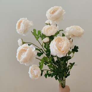 3�^�¹ŵ�ǧ��¶ɏ���滨�����ٻ����l�Ҿ��b��ȵ�zӰ����