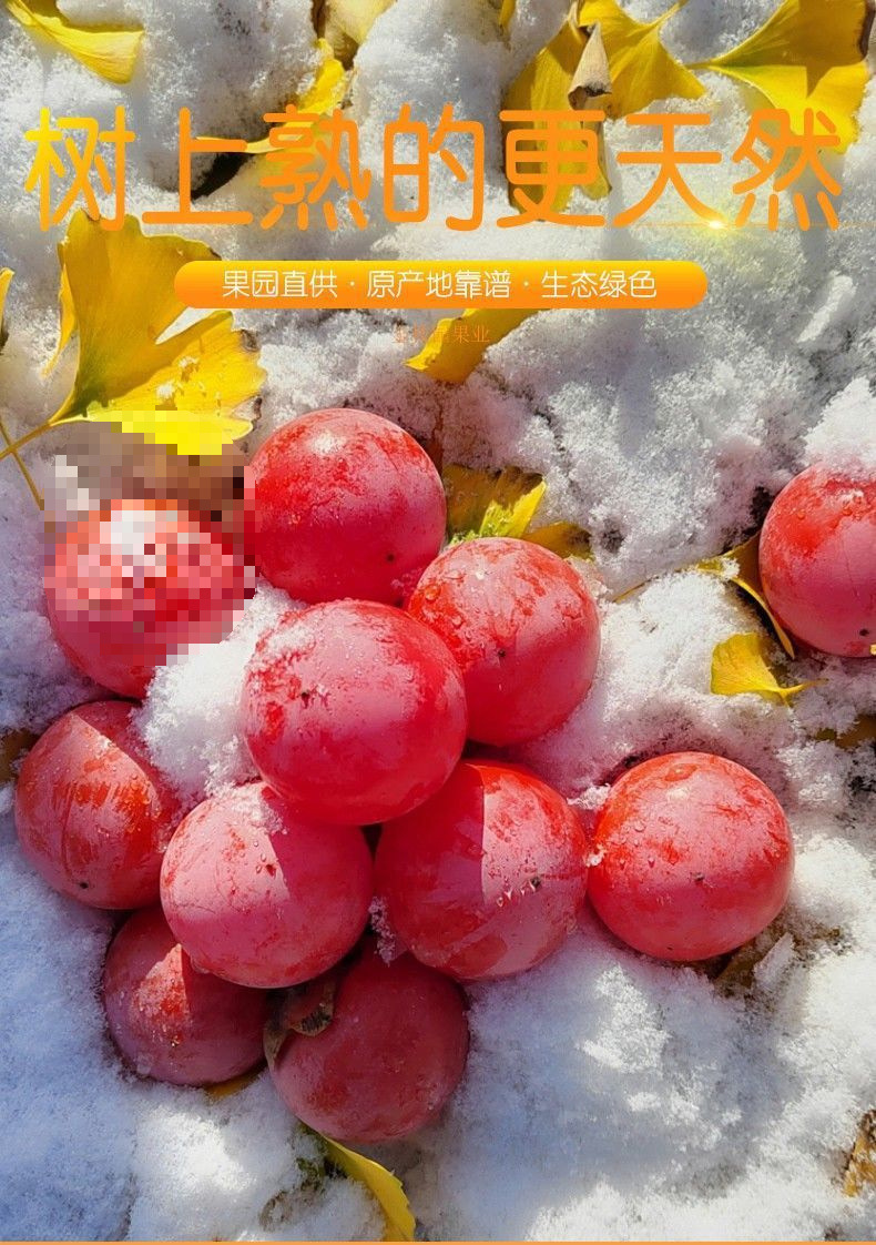 a708f95a-a59e-4ef8-a463-2c959df72680.jpe