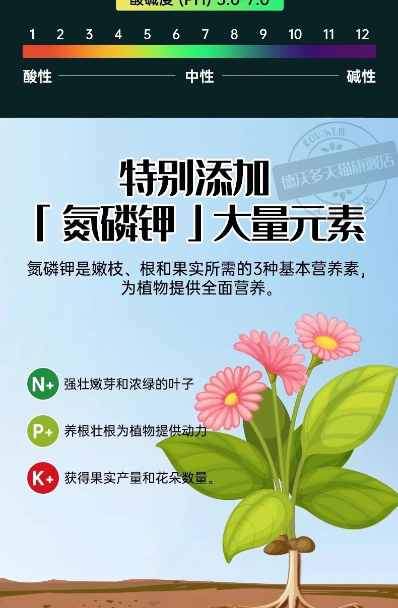 详情图