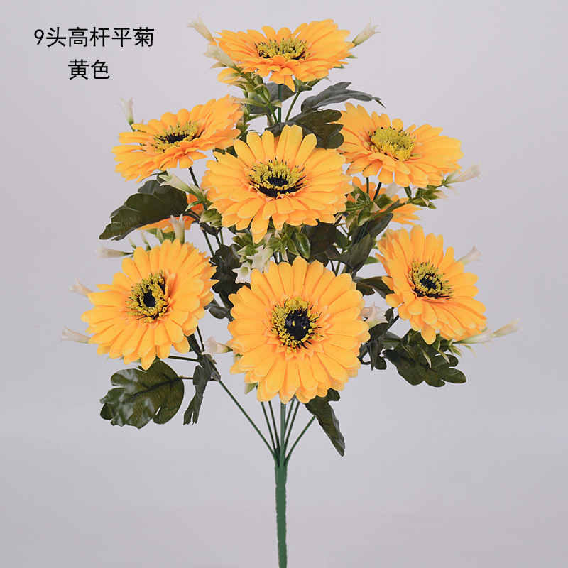 9头高杆平菊09 副本.jpg
