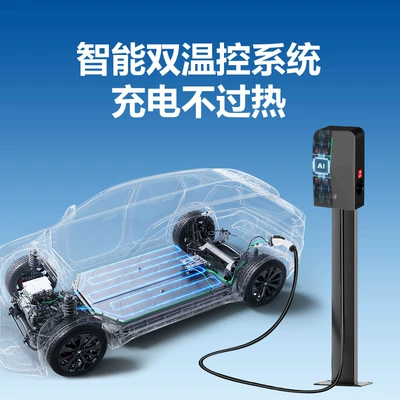 Elektrikli avtomobil şarj stansiyaları — Vehicle Charging Pile 220V Household